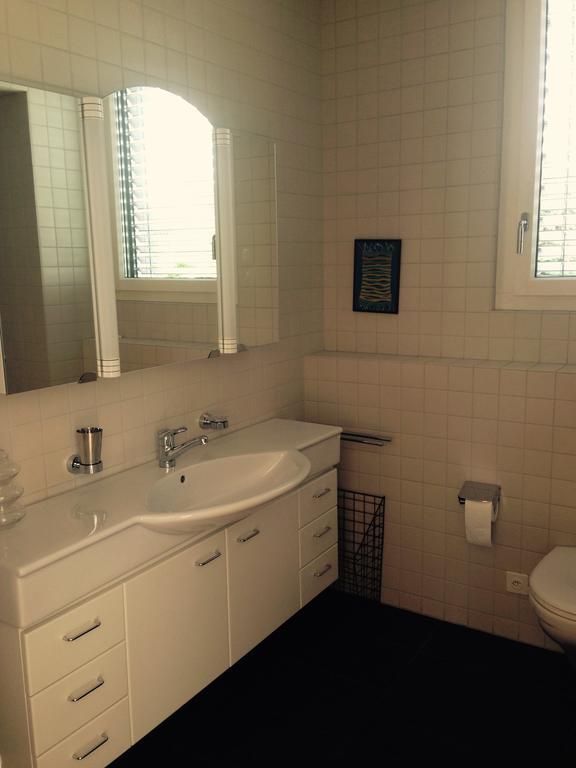 Avliving City Flat Basel With Roof Garden Ngoại thất bức ảnh